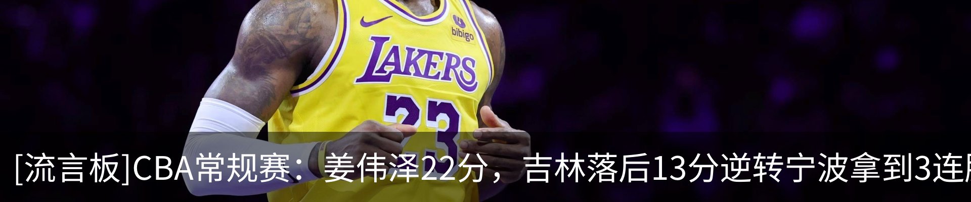 新闻动态